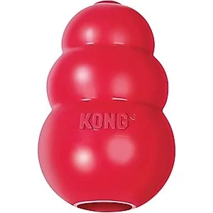 Kong Classic Dog Toy